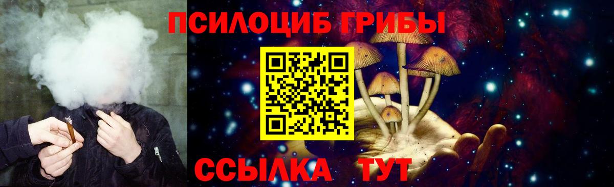 купить   Вход с VPN  Азнакаево  Галлюциногенные грибы прущие грибы 